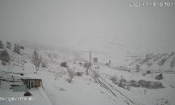 Köye inen kurt sürüsü kameraya yansıdı