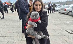 Küçük çocuk Eskişehirspor maçına kedisi ile geldi