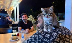 Madde bağımlılığından yavru kedi sayesinde kurtuldu