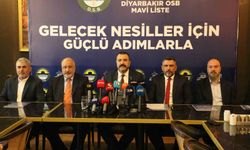 Mavi Listeden Diyarbakır OSB'ye dönüşüm paketi