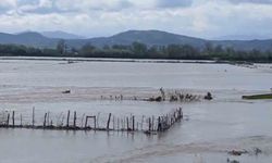 Meriç Nehri taştı, sular yollara ulaştı