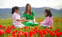 Muş lalesi ovayı kırmızıya boyadı