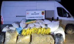 Muş'ta 1 ton 200 kilogram bandrolsüz tütün ele geçirildi