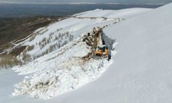 Muş'ta 5 metrelik karla zorlu mücadele