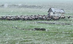 Muş'ta nisan karı etkisini sürdürüyor: 22 köy yolu ulaşıma kapandı