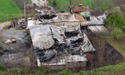 Muz deposundaki yangının zararı gün ağarınca ortaya çıktı