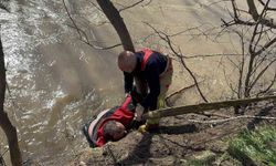 Nehre düşen kişiyi kurtarmak için zamanla yarış: Can pazarı yaşandı