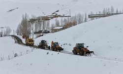 Nisanda karla mücadele çalışması