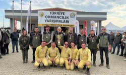 Ormancılığın şampiyonu: Tekirdağ