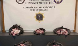 Samsun'da 24 bin 600 uyuşturucu hap ele geçirildi