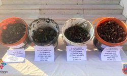 Sason'da endemik bitki operasyonu: 4 kişiye 2 milyon 8 bin lira ceza