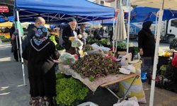 Şifa dağıtan kaldirik otu tezgahlardaki yerini aldı