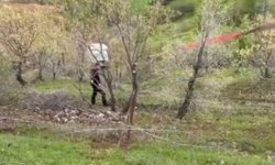 Siirt'te el freni çekilmeyen kamyonet uçuruma yuvarlandı