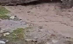 Siirt'te faciadan dönüldü: Sel suları bir evi yuttu