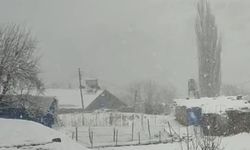 Siirt'te nisan ayında kar sürprizi