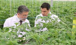 Tarım ve Orman Bakanı İbrahim Yumaklı Aksaray'da