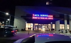 Tartıştığı kadını öldürdü, ardından bileklerini kesti