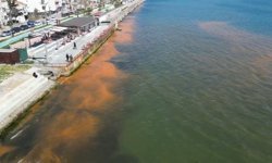 Tekirdağ'da sahil turuncuya büründü