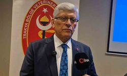 Tekirdağ'dan kritik çağrı: 'Belediyelerde veteriner hekim açığı giderilmeli'