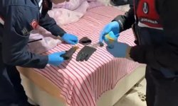 Tokat merkezli 4 ilde silah kaçakçılığı operasyonu