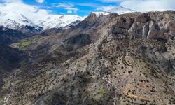 Torul'un gizemli su kaynakları: Gülaçar köyünde mevsimsel doğa olayı