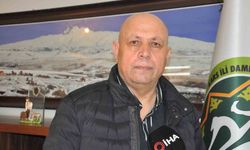 Türkiye'de yün krizi: Üretim var, pazar yok