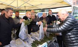 Ücretsiz olduğunu duyan vatandaşlar akın etti, binlerce fidan kısa sürede tükendi