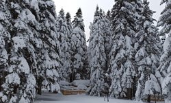 Uludağ'da kış geri dönüyor...Mayısta kar sürprizi yaşanacak