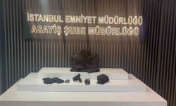 Ümraniye'de park halindeki aracı silah zoruyla gasp eden şüpheli tutuklandı