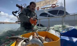Van Gölü'nde inci kefali için av yasağı: Kaçak avlanmanın cezası 16 bin TL