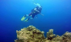 Van Gölü'nün mikrobiyalitleri Guinness için ön elemeyi geçti