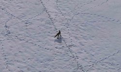 Van'da tilkinin avı dron kamerasına yansıdı