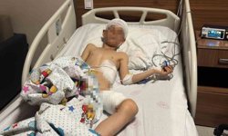 Van'daki köpek dehşetinde kan donduran detaylar