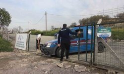 Yalova'daki barınakta köpek ölümleriyle ilgili soruşturma