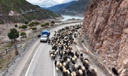 Yayla yolunda zorlu göçler başladı