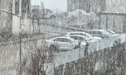 Yüksekova'da kar ve sis etkili oldu: Görüş mesafesi 20 metreye düştü
