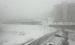 Yüksekova'da nisan ayında kar esareti