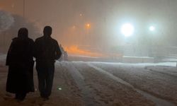 Yüksekova'da nisan karı: İlçe yeniden beyaza büründü, kartpostallık görüntüler ortaya çıktı