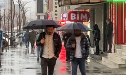 Yüksekova'da sağanak yağış etkili oldu