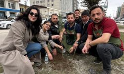 Yüksekovalı girişimci kadın çevreye dikkat çekmek için fidan dikti