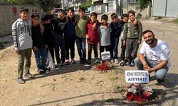 Adana'nın köstebek yuvasına dönen yollarına çiçek diktiler