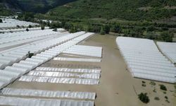 Amasya'da Yeşilırmak Nehri taştı, tarım arazileri sular altında kaldı