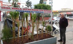 Annesinin çok sevdiği çiçeği, iş yerinin önünde mezarı andıran alanda 40 yıldır yaşatıyor