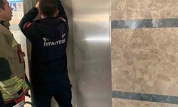 Asansör boşluğuna düşen yavru kediyi itfaiye kurtardı