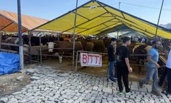 Avcılar'da kurbanlıkların büyük kısmı tükendi, satıcılar çadırlara 'Bitti' yazısını astı