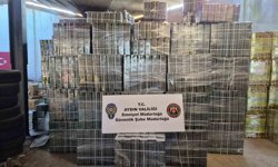 Aydın'da tağşiş zeytinyağı operasyonu: 1 milyon liralık sahte ürün ele geçirildi