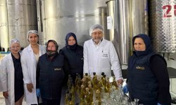 Bakan Yumaklı, zeytinyağı üretim tesislerinde incelemede bulundu