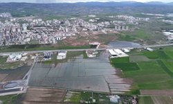 Bali değil Sivas, pirinç değil hububat tarlası