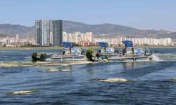 Büyükşehir'den Körfez'de temizlik mesaisi