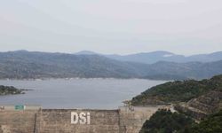 Çine Adnan Menderes Barajı eski günlerine geri döndü